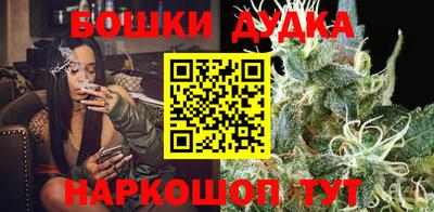 индика Апшеронск