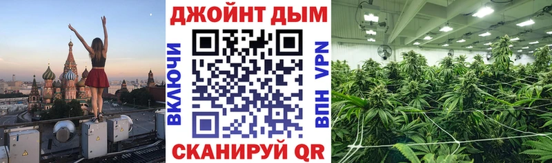 Бошки марихуана MAZAR  кракен зеркало  Балашиха 